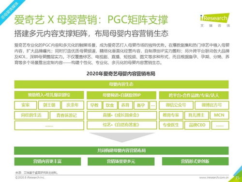 2020年中国网络营销投放监测系列报告 母婴行业营销与网络文化经营